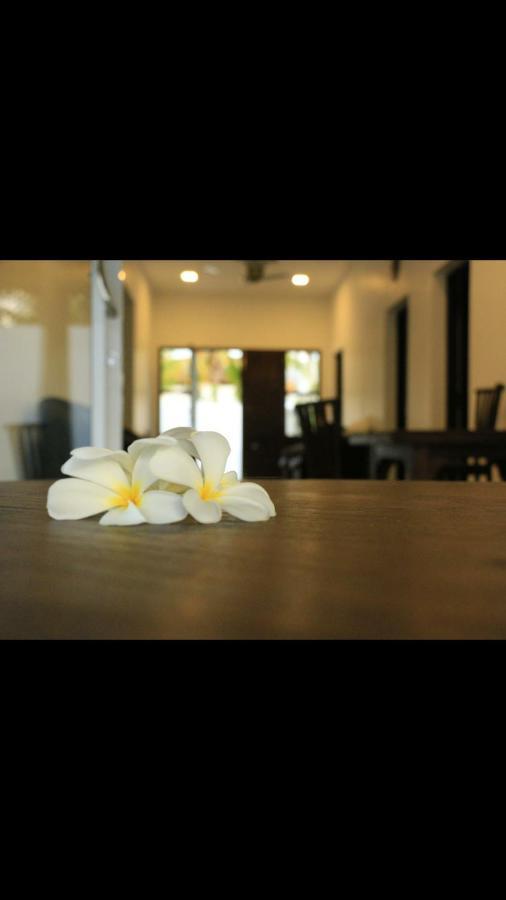 Blooming Polhena Bed & Breakfast Matara Exterior photo